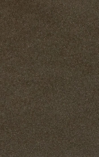 Bronze 39